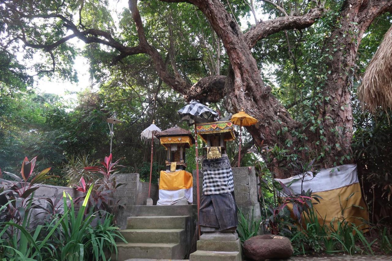 Villa Aditya تيجاكولا المظهر الخارجي الصورة